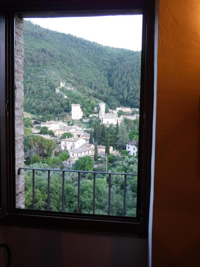 Agriturismo Il Casalino 스폴레토 외부 사진